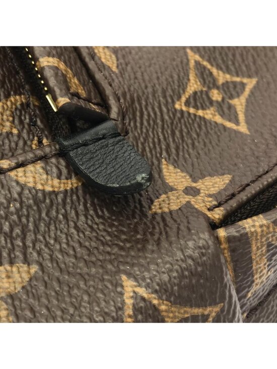 Louis Vuitton Monogram Palm Springs Backpack PM main image 5